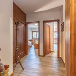 דירה Casa Bigontina, In Pieno Centro A Cortina קורטינה ד'אמפזו